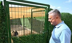 Muratpaşa Belediye Başkanı Uysal: "Sokak hayvanlarında denge sağlanmalı"