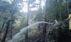 Tarsus’ta orman yangını kısa sürede söndürüldü