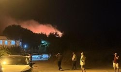 BALIKESİR - Ayvalık ilçesinde çıkan orman yangınına müdahale ediliyor