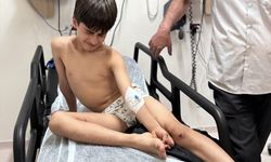 ERZURUM - Sahipli köpeğin saldırdığı çocuk yaralandı