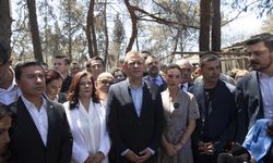 İZMİR - CHP Genel Başkanı Özel, Selçuk ilçesinde çıkan yangında zarar gören yerlerde incilemelerde bulundu