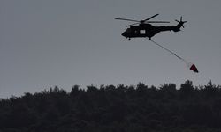 İZMİR - Türk Silahlı Kuvvetlerine ait 3 adet AS-532 tipi helikopter, yangın söndürme çalışmalarına havadan destek sağladı