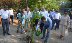 MUĞLA - Sarıgerme Plajı'na mavi bayrak asıldı