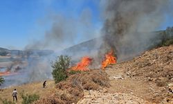 MUĞLA - Zirai alanda çıkan yangın ormana sıçramadan söndürüldü