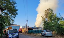 SAMSUN - Kereste fabrikasında çıkan yangın söndürüldü