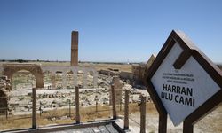 ŞANLIURFA - Restorasyonu tamamlanan tarihi Harran Ulu Cami ziyarete açıldı