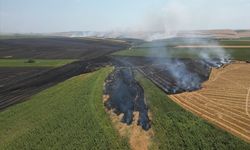 TEKİRDAĞ - Anız yangını söndürüldü