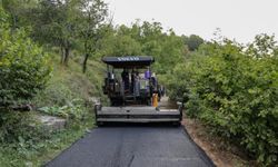 Artvin Valisi Ünsal, İl Özel İdaresinin yol çalışmalarını yerinde inceledi