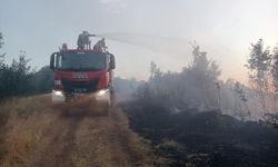 Bingöl'de çıkan orman yangınına müdahale ediliyor