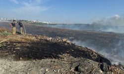 İSTANBUL - Avcılar'da otluk alanda çıkan yangın söndürüldü