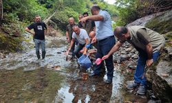 SAMSUN - Dereye 5 bin kırmızı benekli alabalık yavrusu bırakıldı