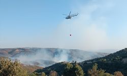 UŞAK - İki noktada çıkan yangınlara müdahale ediliyor