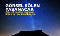 Perseid göktaşı yağmuru ne zaman? Görsel şölene az kaldı