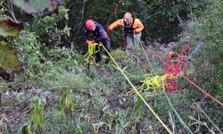 Artvin'de otomobilin uçuruma yuvarlandığı kazada 1 kişi öldü