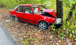 Karabük'te ağaca çarpan otomobildeki 2 kişi yaralandı