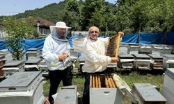 Kestane balını tatmak isteyenler siparişi hasat öncesinde veriyor