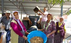 Aydıncık ve Gülnarlı üreticilerin badem soyma derdi bitti