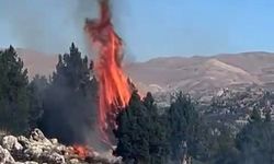 Kahramanmaraş’ta orman yangını söndürüldü