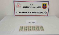 Kalpazanlık yapan şahsa jandarmadan suçüstü