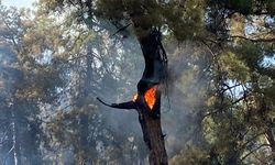 ANTALYA - Kaş ilçesinde çıkan orman yangınına müdahale ediliyor