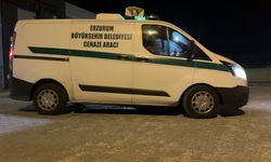 ERZURUM - 2 kişiyi av tüfeğiyle öldüren zanlı güvenlik güçlerine teslim oldu