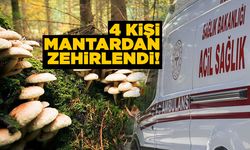 Mantardan zehirlenen 4 kişi hastaneye kaldırıldı!