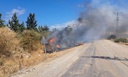 HATAY - Otluk alanda çıkan yangın söndürüldü