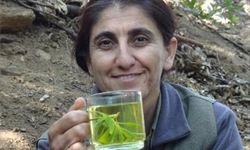 MİT, terör örgütü PKK/KCK'nın sözde İran sorumlusu Saliha Akbıyık'ı Irak'ın Süleymaniye kentinde nokta operasyonla etkisiz hale getirdi