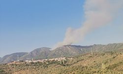 MUĞLA - Milas'ta ormanlık alanda çıkan yangına müdahale ediliyor