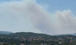 MUĞLA - Orman yangınına müdahale ediliyor (2)