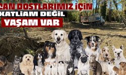 Gerze’de "KATLİAM DEĞİL YAŞAM VAR"