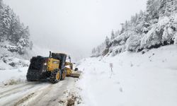 Karadeniz'de karla mücadele çalışmaları devam ediyor