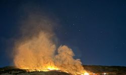 Gölbaşı’nda ormanlık alanda çıkan yangın korkuttu