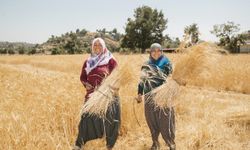 Mersin Büyükşehir Belediyesi, binlerce kadını tarımla buluşturdu