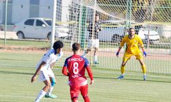 Türkiye 3. Lig 4. Grup: Niğde Belediyespor: 2 - Erciyes 38 FK: 0