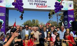 AKSARAY - "3. Bağ Bozumu ve Pekmez Festivali" yapıldı