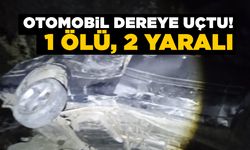 Köy yolunda otomobil dereye uçtu