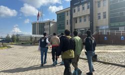 KARS - Yedi düzensiz göçmen sahte pasaportla yakalandı