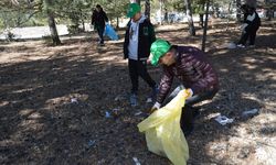 Kütahya’da orman temizliği yapıldı