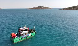 Mersin Körfezi'nde deniz yüzeyinde biriken atıklar toplandı