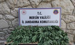 MERSİN - Uyuşturucu operasyonunda 3 zanlı yakalandı