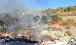 MUĞLA - Bodrum'da makilik alanda çıkan yangın söndürüldü