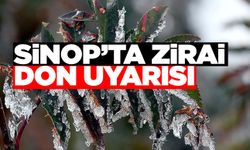 Sinop’ta zirai don uyarısı