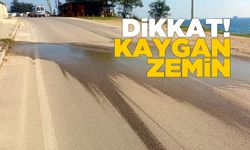 Sinop’ta yosun tutan yol tehlike saçıyor