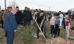 Bolu'da fidanlar toprakla buluştu