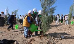 15 Ağustos’taki büyük yangının ardından İzmir’de ilk fidanlar toprakla buluştu