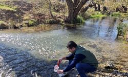 Erzincan’da nitrat kirliliği izleniyor