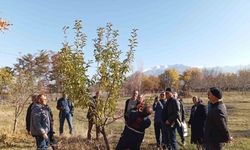 Erzincan’da teorik ve pratik budama eğitimleri başlatıldı