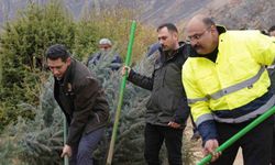 Kemaliye’de geleceğe nefes için fidan dikildi