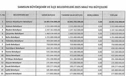 Samsun’daki belediyelerin 2025 yılı toplam bütçeleri 30,3 milyar TL